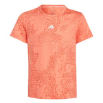 adidas - Girls' (Junior) AEROREADY 3-Stripes Allover Print T-Shirt (IB8870)