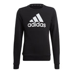 adidas - Girls' (Junior) Essential Big Logo Cotton Sweatshirt (IC6117)