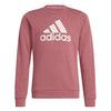 adidas - Girls' (Junior) Essentials Big Logo Cotton Sweatshirt (IZ3434)