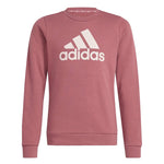 adidas - Girls' (Junior) Essentials Big Logo Cotton Sweatshirt (IZ3434)