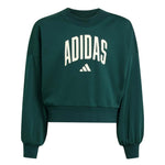 adidas - Girls' (Junior) Seasonals Essentials Collegiate Typography Crewneck Sweatshirt (JV7377)