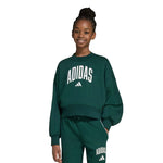 adidas - Girls' (Junior) Seasonals Essentials Collegiate Typography Crewneck Sweatshirt (JV7377)