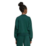 adidas - Girls' (Junior) Seasonals Essentials Collegiate Typography Crewneck Sweatshirt (JV7377)