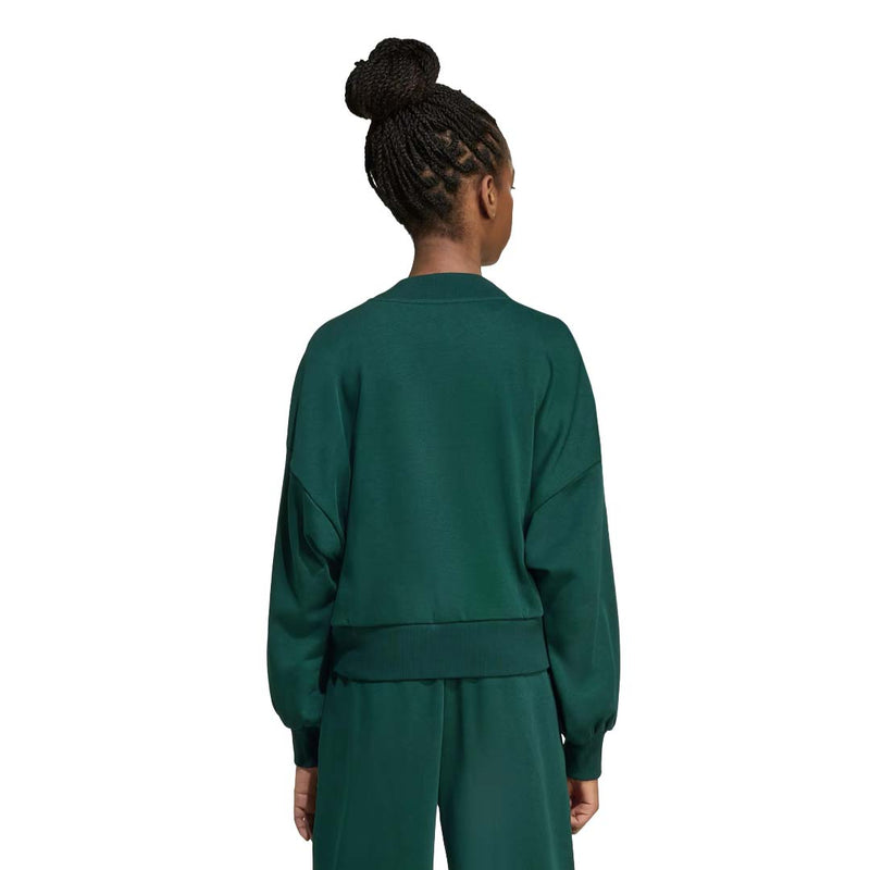 adidas - Girls' (Junior) Seasonals Essentials Collegiate Typography Crewneck Sweatshirt (JV7377)