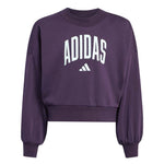 adidas - Girls' (Junior) Seasonals Essentials Collegiate Typography Crewneck Sweatshirt (JV7379)