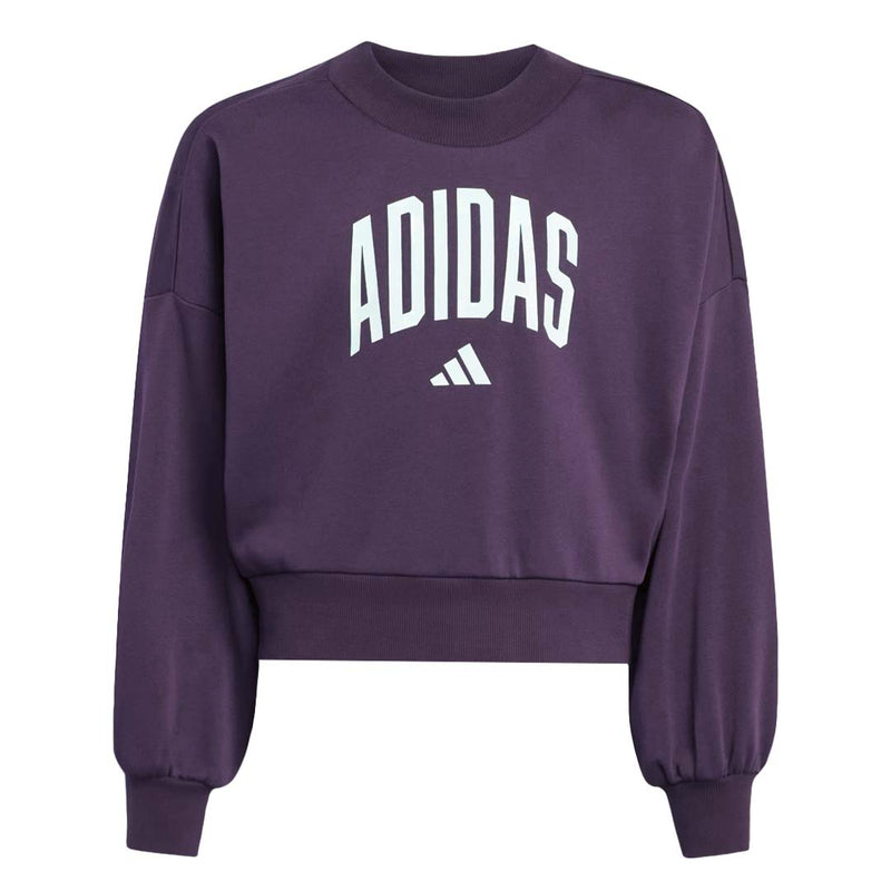 adidas - Girls' (Junior) Seasonals Essentials Collegiate Typography Crewneck Sweatshirt (JV7379)