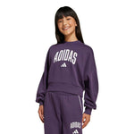 adidas - Girls' (Junior) Seasonals Essentials Collegiate Typography Crewneck Sweatshirt (JV7379)