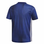 adidas - Kids' (Youth) Tiro 19 Jersey (DP3180)