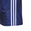 adidas - Kids' (Youth) Tiro 19 Jersey (DP3180)