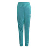 adidas - Kids' (Junior) Adicolor SST Track Pant (IJ9710)