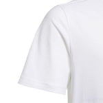 adidas - Kids' (Junior) Adicolor T-Shirt (HK0403)
