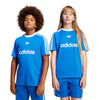 adidas - Kids' (Junior) Adicolor T-Shirt (JC7310)