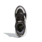 adidas - Kids' (Junior) Basketball Legends Low Shoes (JH6614)