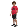 adidas - Kids' (Junior) Big Logo Short Sleeve T-Shirt (JL2904)
