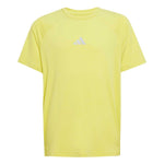 adidas - Kids' (Junior) Climacool T-Shirt (JD0134)
