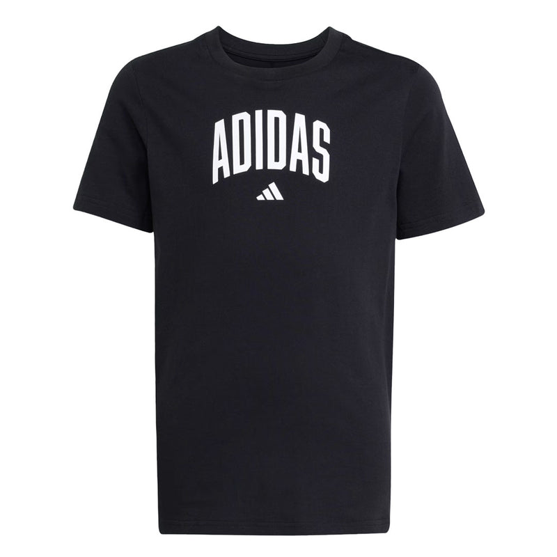 adidas - Kids' (Junior) Collegiate Graphic T-Shirt (JV5192)