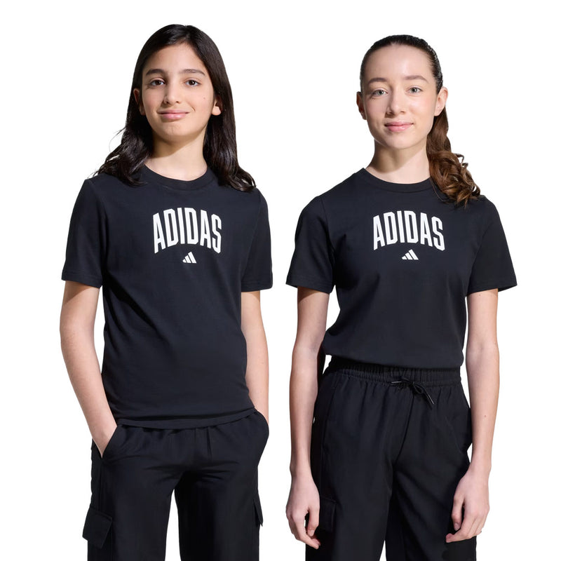 adidas - Kids' (Junior) Collegiate Graphic T-Shirt (JV5192)