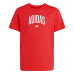 adidas - Kids' (Junior) Collegiate Graphic T-Shirt (JV5194)