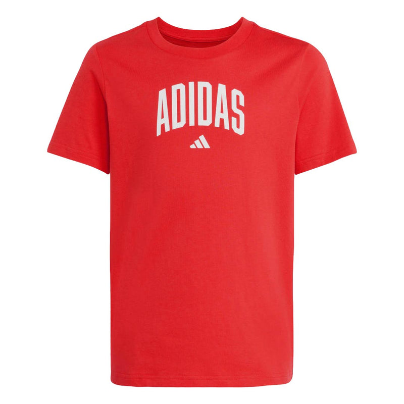 adidas - Kids' (Junior) Collegiate Graphic T-Shirt (JV5194)