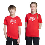 adidas - Kids' (Junior) Collegiate Graphic T-Shirt (JV5194)