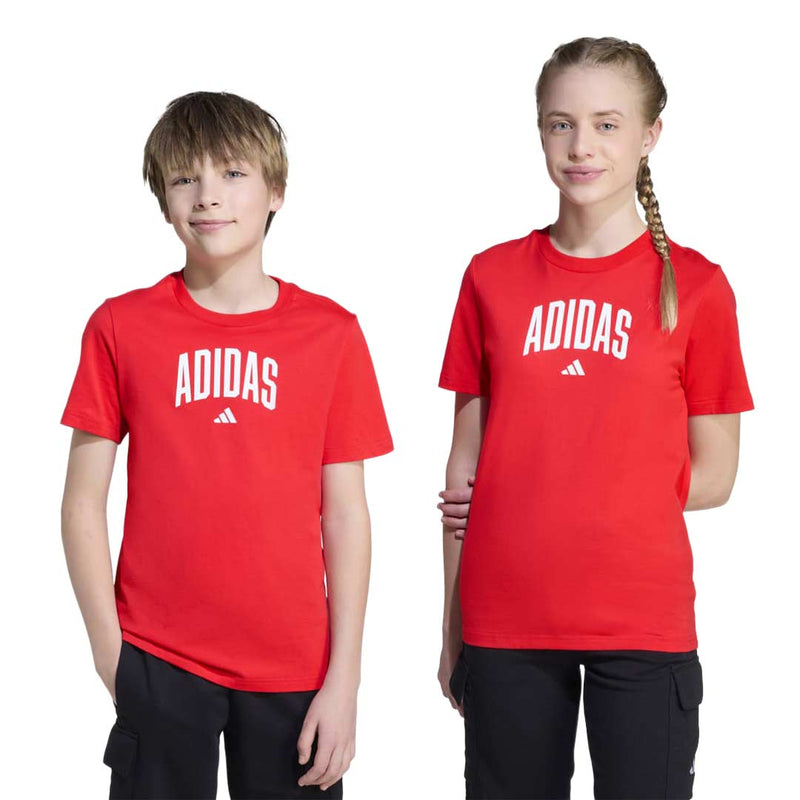 adidas - Kids' (Junior) Collegiate Graphic T-Shirt (JV5194)