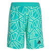 adidas - Kids' (Junior) Condivo 22 Goalkeeper Shorts (HB1668)