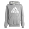 adidas - Kids' (Junior) Big Logo Essential Cotton Hoodie (IC6835)