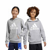 adidas - Kids' (Junior) Big Logo Essential Cotton Hoodie (IC6835)