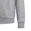 adidas - Kids' (Junior) Big Logo Essential Cotton Hoodie (IC6835)