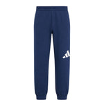 adidas - Kids' (Junior) Essential Big Logo Fleece Pants (JK8660)