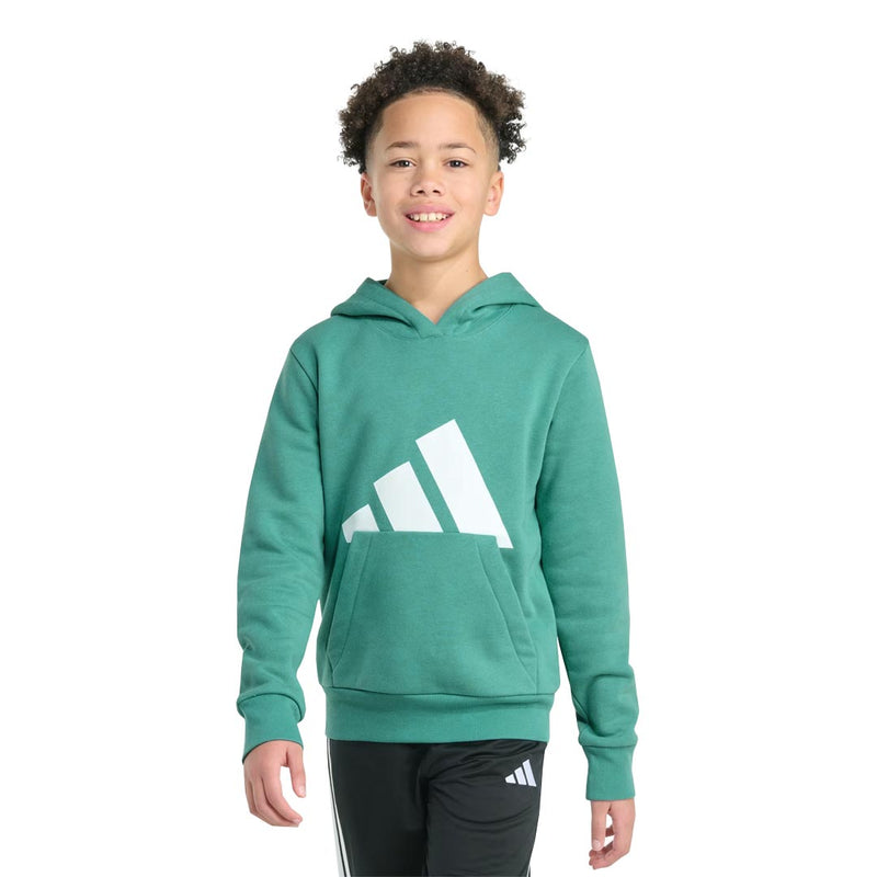adidas - Kids' (Junior) Essentials Fleece Big Logo Hoodie (JK8442)