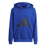 adidas - Kids' (Junior) Essentials Hoodie (JC9674)