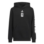 adidas - Kids' (Junior) FIFA World Cup 26 Match Ball Graphic Hoodie (KB8644)