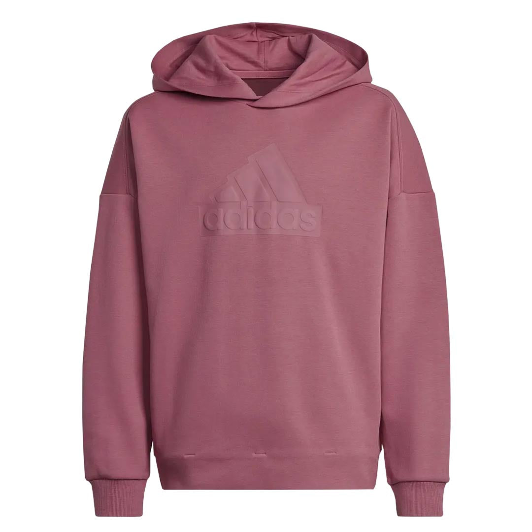 adidas Kids Junior Future Icons Logo Hoodie HR6299 SVP Sports