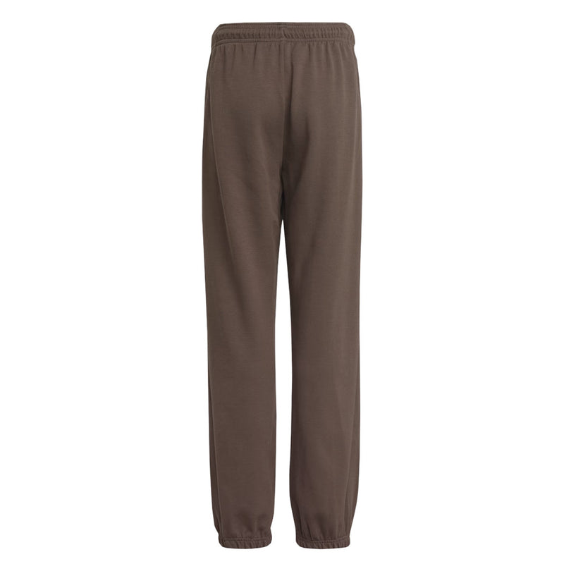 adidas - Kids' (Junior) Future Icons Logo Pant (HR6287)