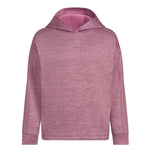 adidas - Girls' (Junior) Game & Go 3-Stripes Fleece Hoodie (IQ5989)