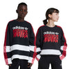 adidas - Kids' (Junior) Graphic Sweatshirt (IZ4629)