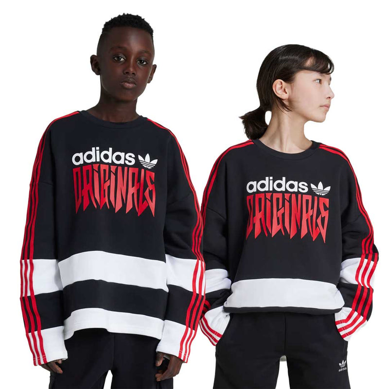 adidas - Kids' (Junior) Graphic Sweatshirt (IZ4629)