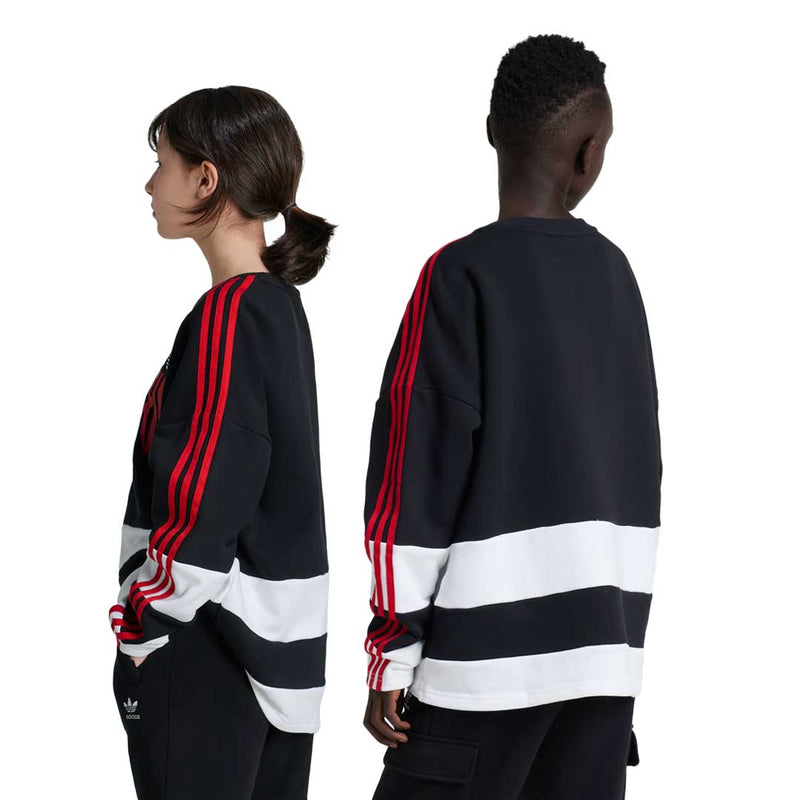 adidas - Kids' (Junior) Graphic Sweatshirt (IZ4629)