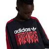 adidas - Kids' (Junior) Graphic Sweatshirt (IZ4629)