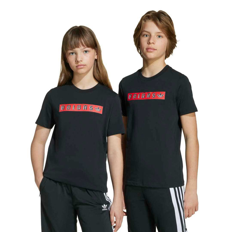adidas - Kids' (Junior) Graphic T-Shirt (JY2822)