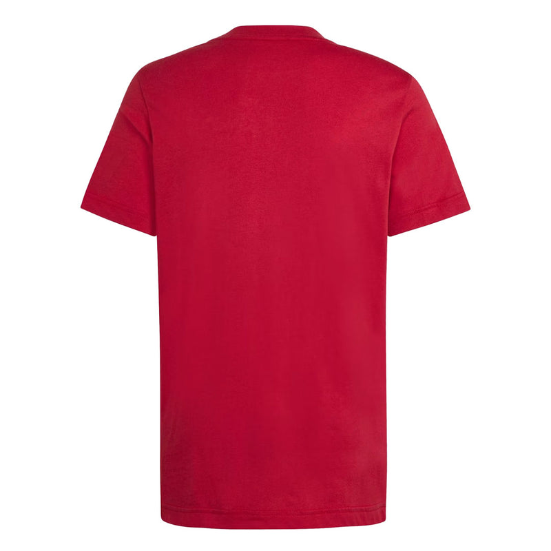 adidas - Kids' (Junior) Liverpool FC T-Shirt (JW7883)