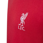 adidas - Kids' (Junior) Liverpool FC T-Shirt (JW7883)