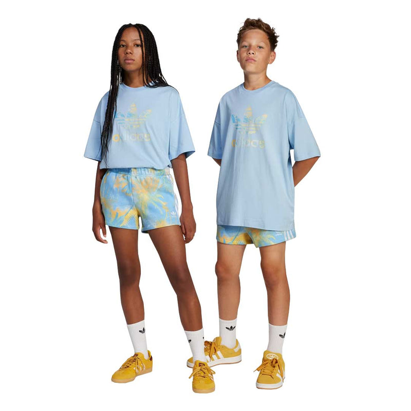 adidas - Kids' (Junior) Originals Graphic Shorts (JD2943)