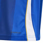 adidas - Kids' (Youth) Pitch 2 Street Messi Training Jersey (IS6471)