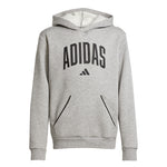 adidas - Kids' (Junior) Seasonals Essentials Collegiate Hoodie (JV7336)