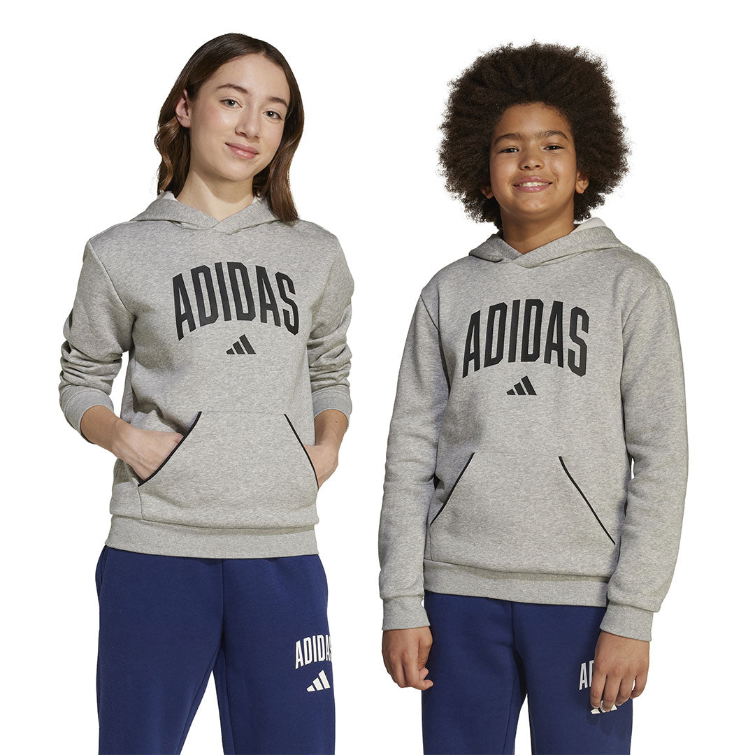 adidas - Kids' (Junior) Seasonals Essentials Collegiate Hoodie