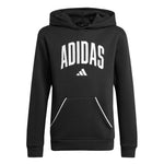 adidas - Kids' (Junior) Seasonals Essentials Collegiate Typography Hoodie (JM1536)