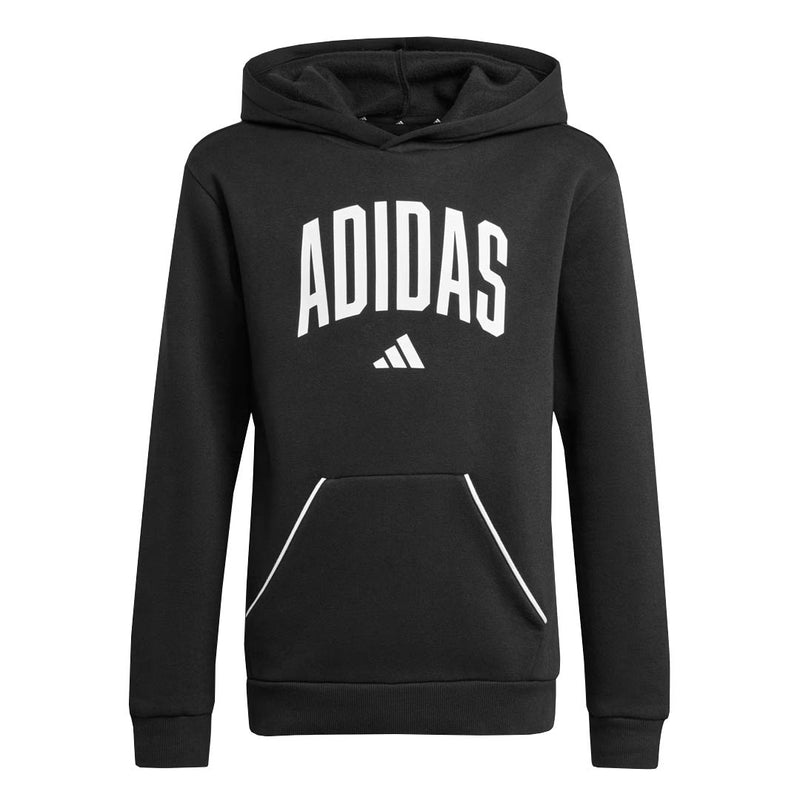 adidas - Kids' (Junior) Seasonals Essentials Collegiate Typography Hoodie (JM1536)