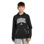 adidas - Kids' (Junior) Seasonals Essentials Collegiate Typography Hoodie (JM1536)